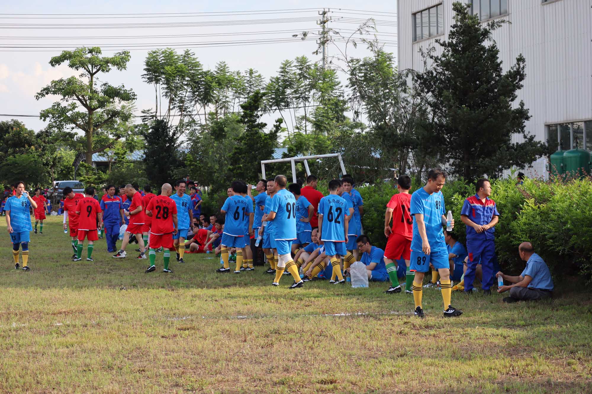 15681682948589.jpg IMG_3988.JPG